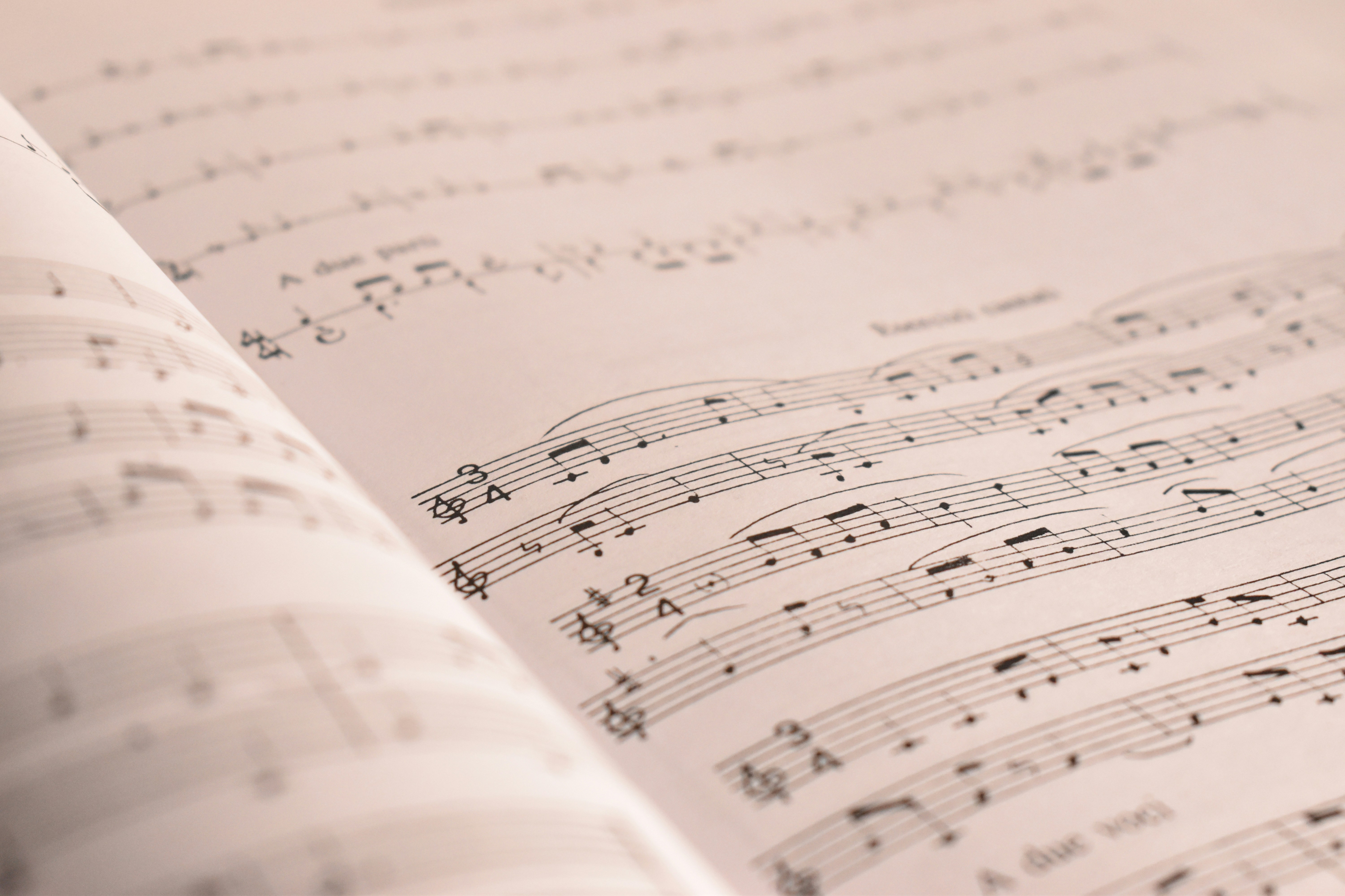 Music notes explained: a clear guide to understanding musical notation